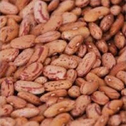 Rajma 1kg