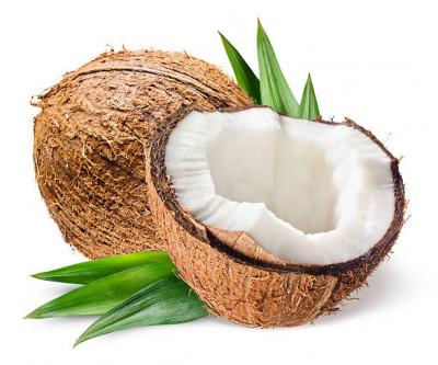 Coconut 1pc