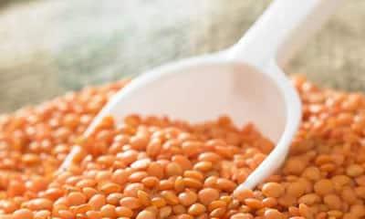 Red Masoor dal Whole 1kg