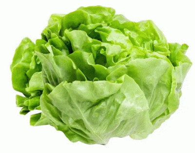 Lettuce (Green) 250 - 500 gm