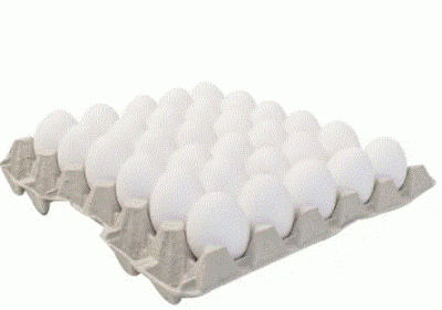 Eggs - Table Tray, Medium, Antibiotic Residue-Free, Growth Hormo